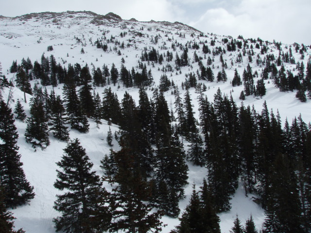 Yet more A-Basin Back Bowl>
<br><br>

<br>Even More Back Bowl</font><p>
<img border=
