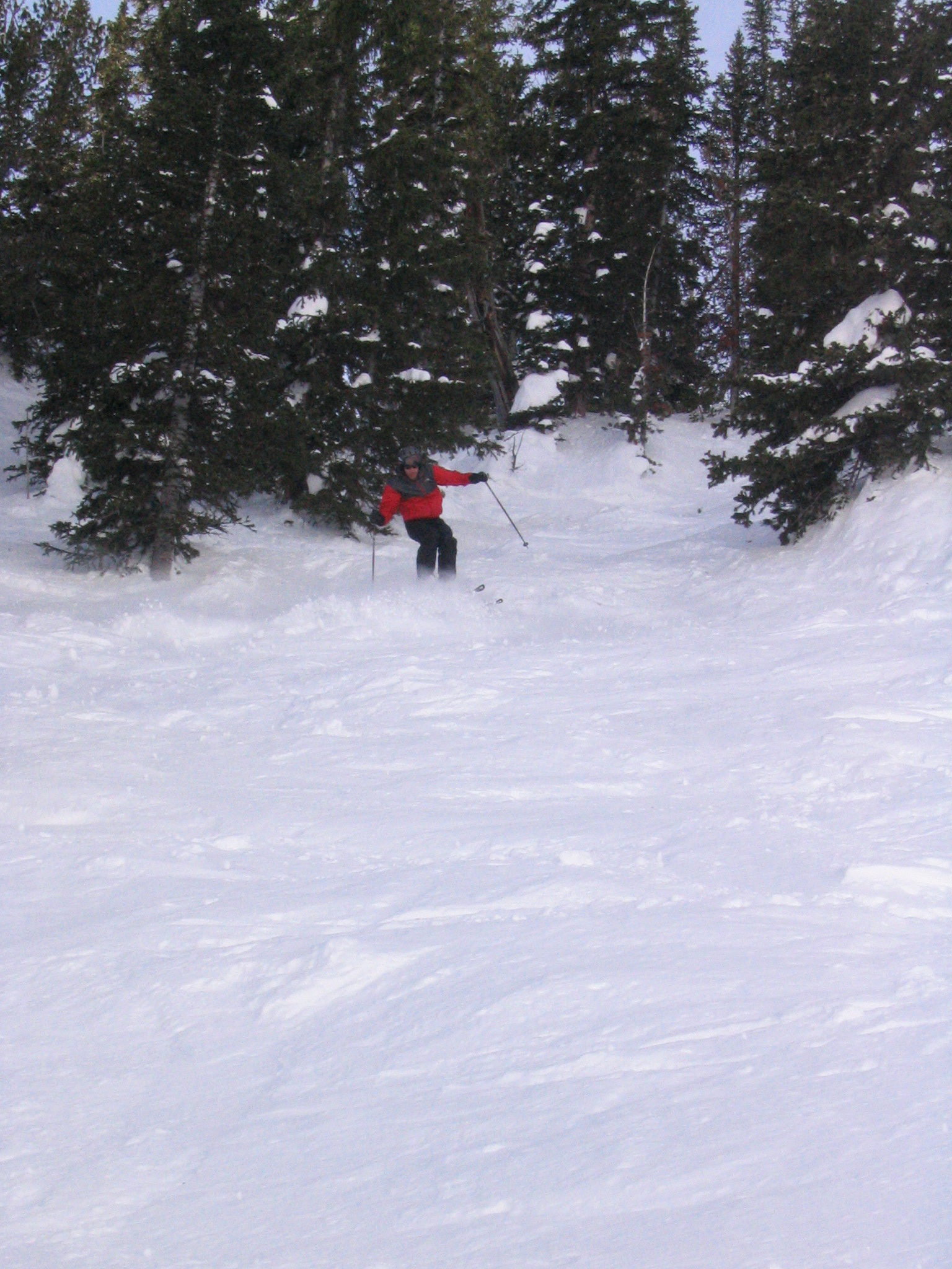 Bark Boy bursts from the trees at Jackson Hole in 2006