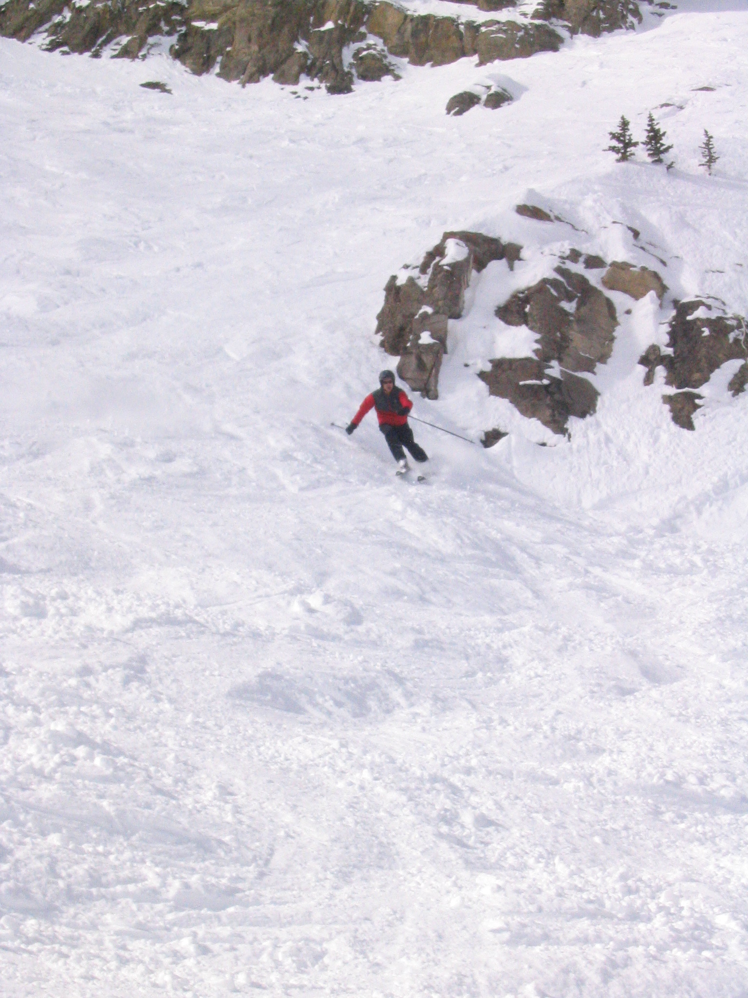 Bark Boy carving at Jackson Hole in 2006
