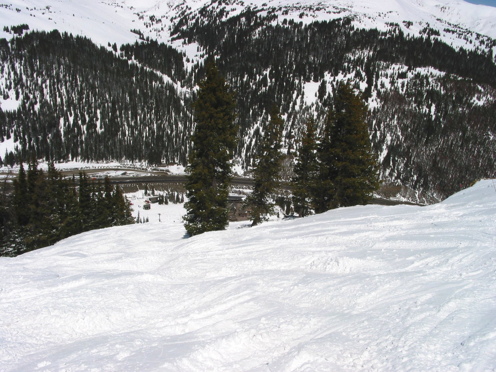 Soft Low Angle Bumps in the top of Avalanche Bowl. They are a good warm-up for the steeper section below.