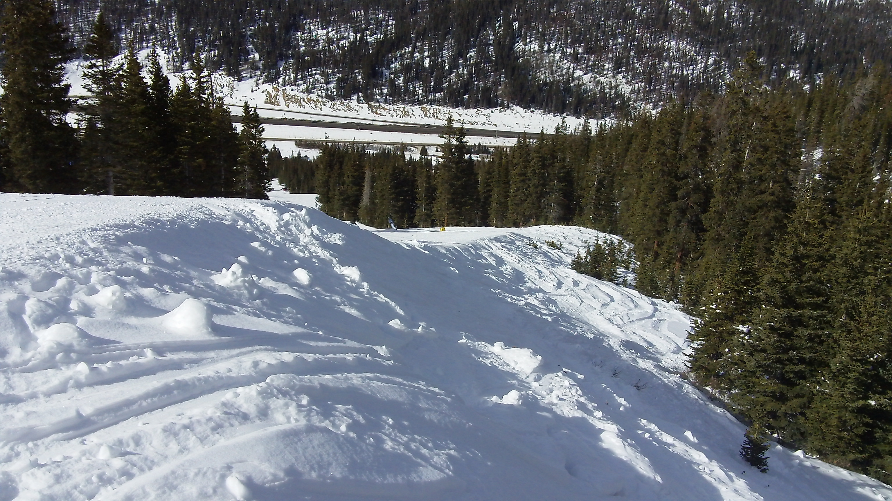 Switchback Ski Trail