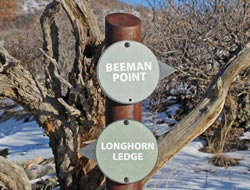 Beeman Point Trail Sign
