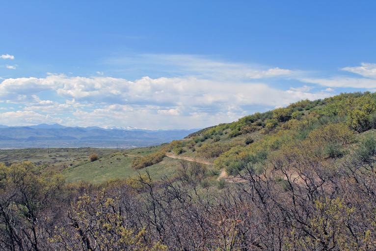 Looking Northwest from Longhorn Ledge Trail