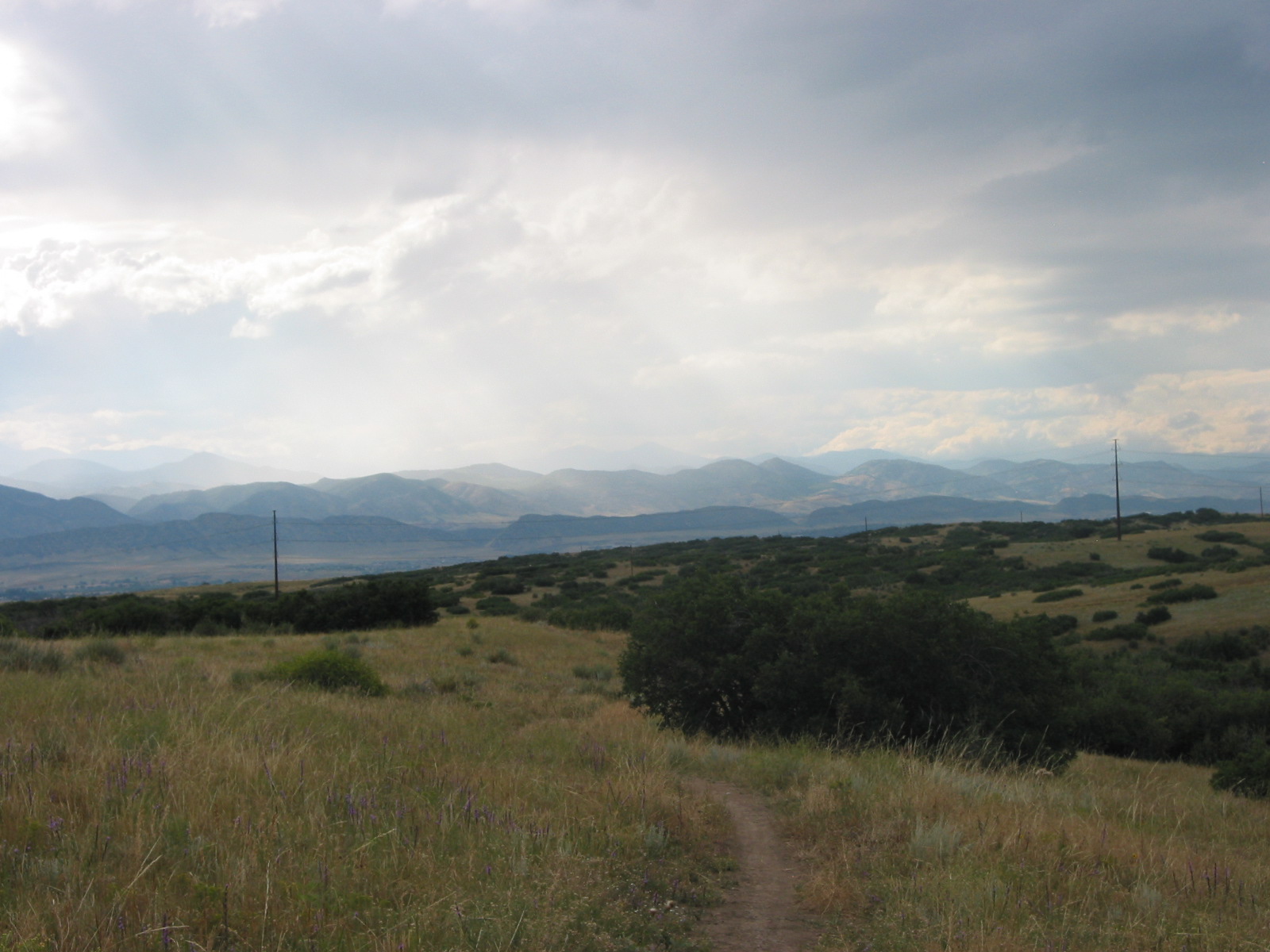 Tenderfoot Trail looking West.