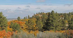 Fall on the Southern Ponderosa Trail