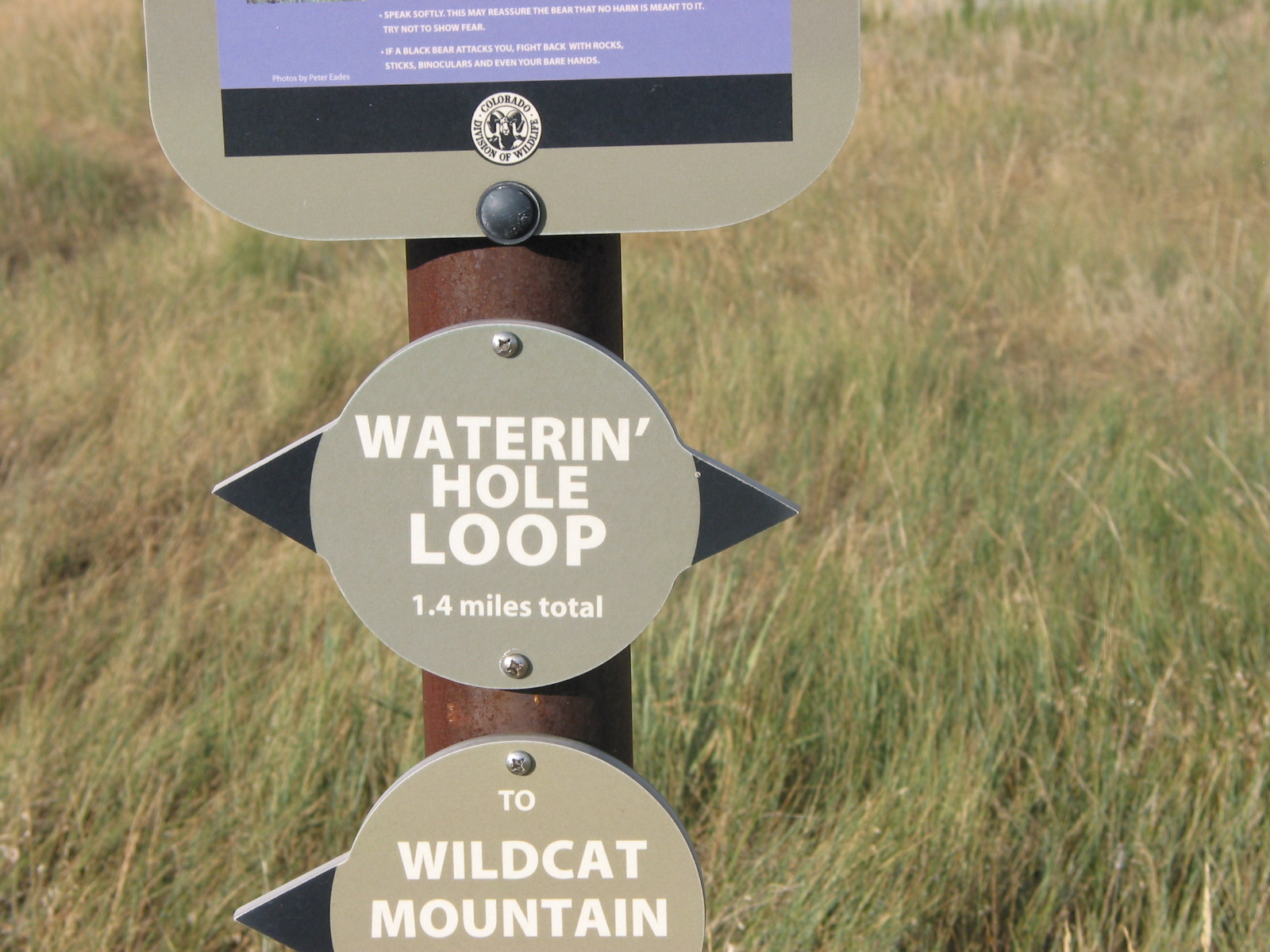 Waterin' Hole Loop Sign