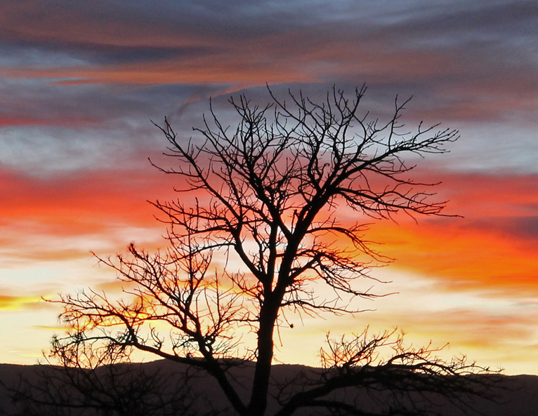 East-West Trail Sunset