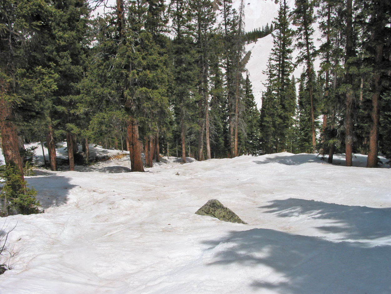 TB Glades in Late Spring