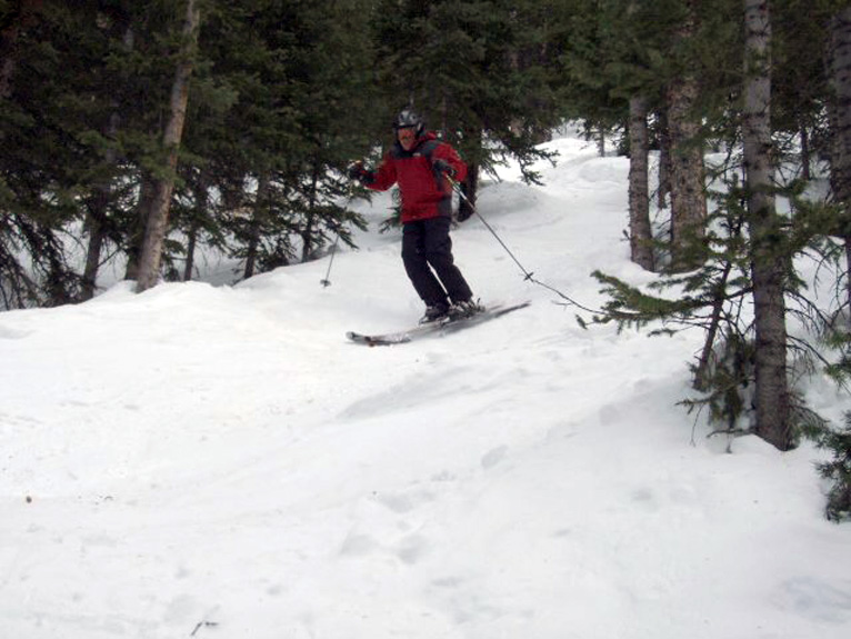 Aspen Highlands Tree Skiing