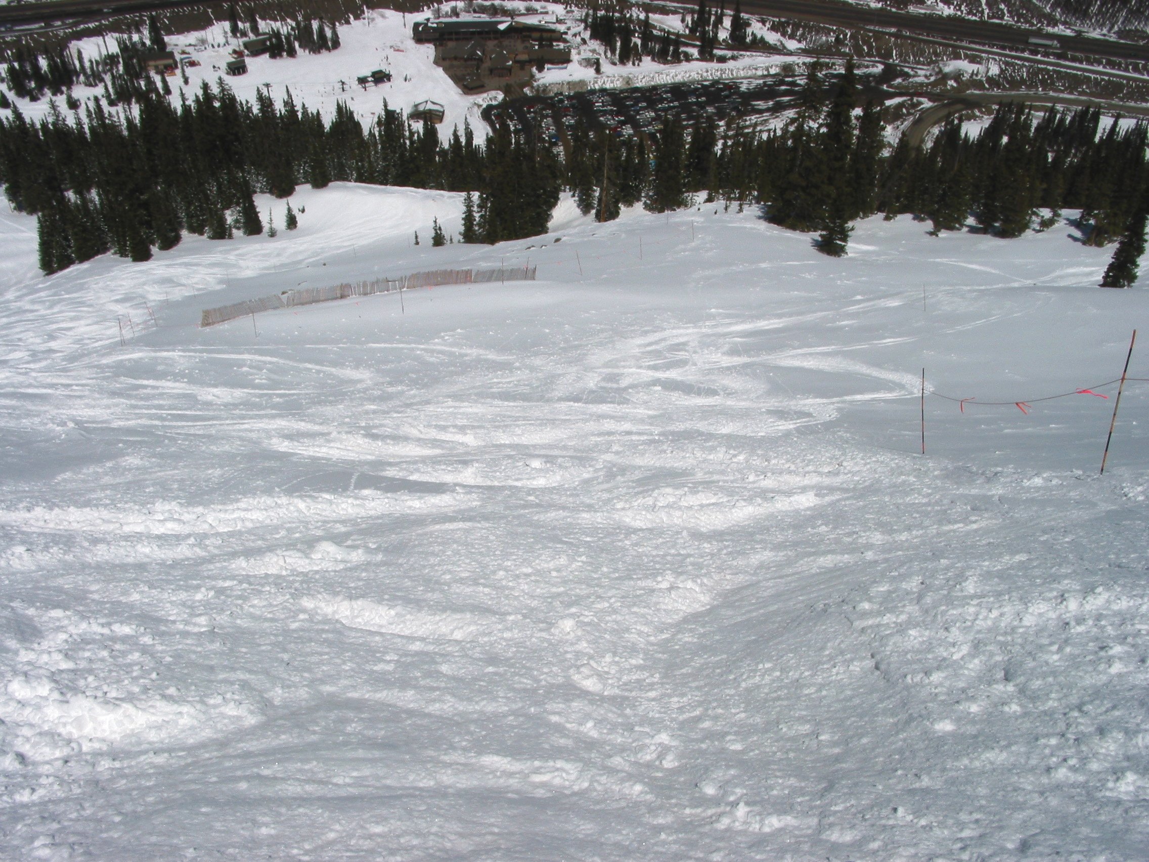 Steep Cut Powder on the Skier's Left in Avalanche Bowl