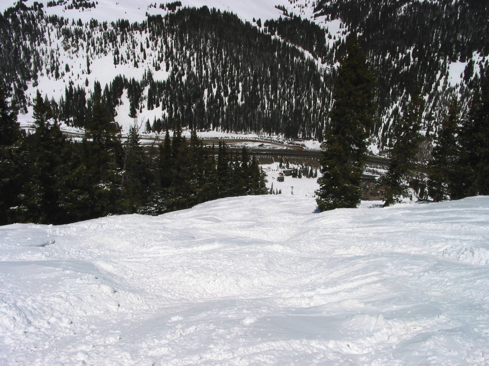 Another shot of the soft bumps in the top of Avalanche Bowl