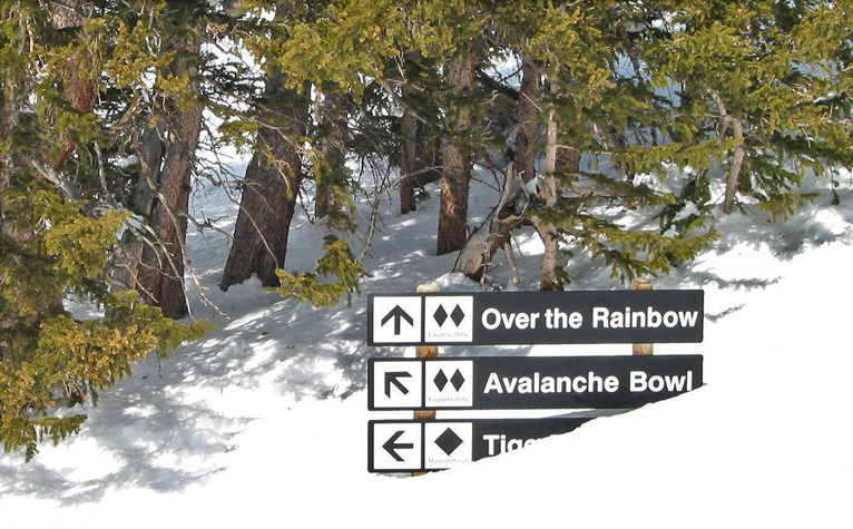 2009 Was A Good Snow Year!