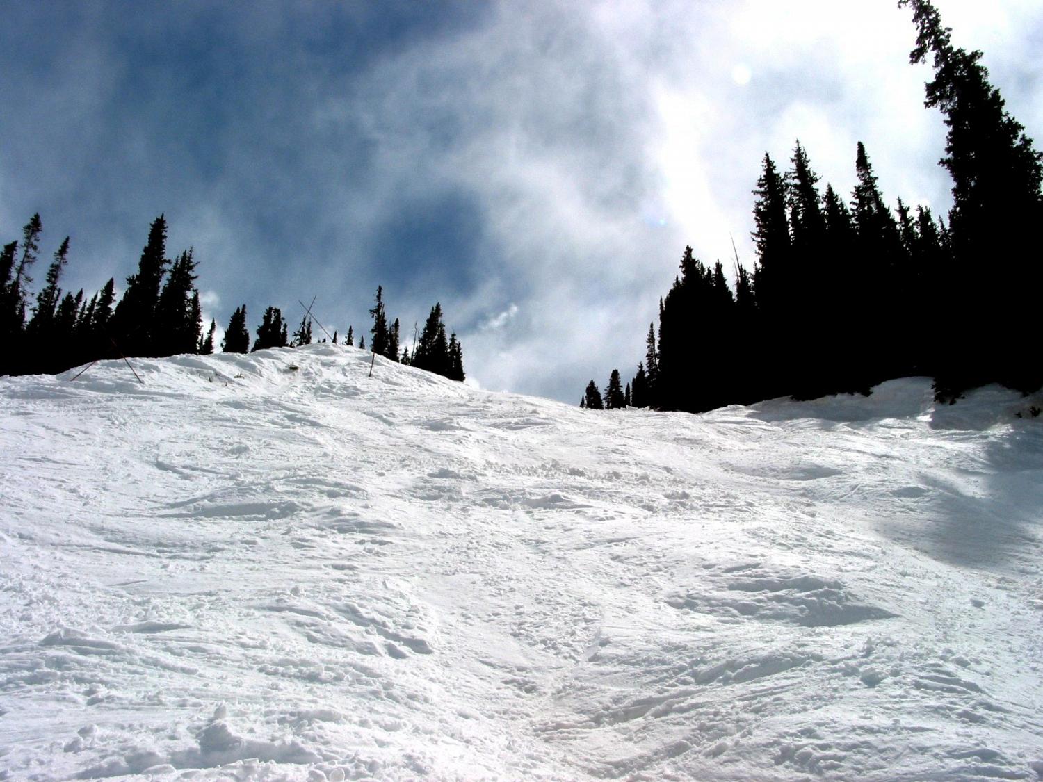Cat's Meow on April 22, 2009 Looking up from the bottom