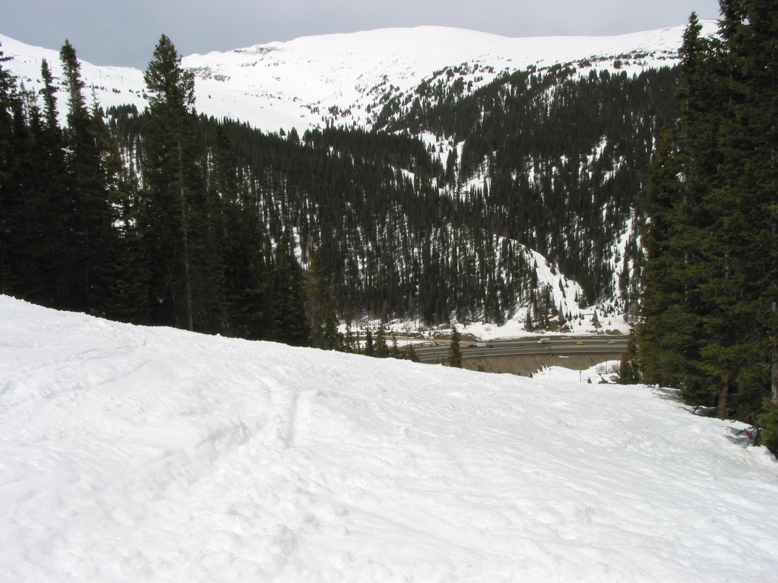 Upper Cat's Meow on April 22, 2009