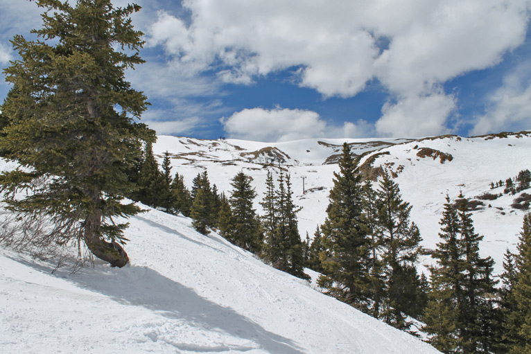 South Chutes Ski Trail Looking At Chair Nine